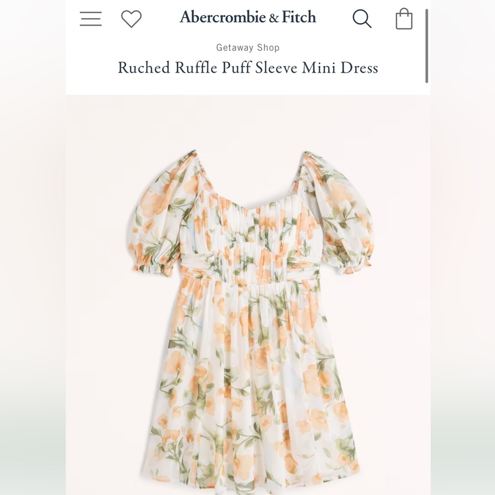 Ruched Ruffle Puff Sleeve Mini Dress